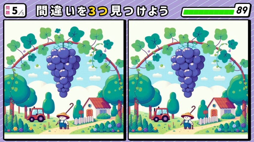 #190　問題5　間違い探し　ブドウ農園