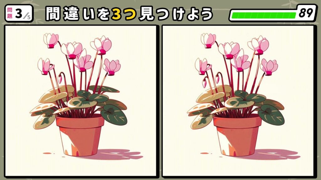 #14 問題3 間違い探し 鉢植えのシクラメン