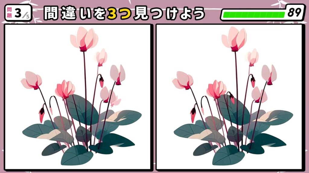 #42　問題3　間違い探し　シクラメンの花