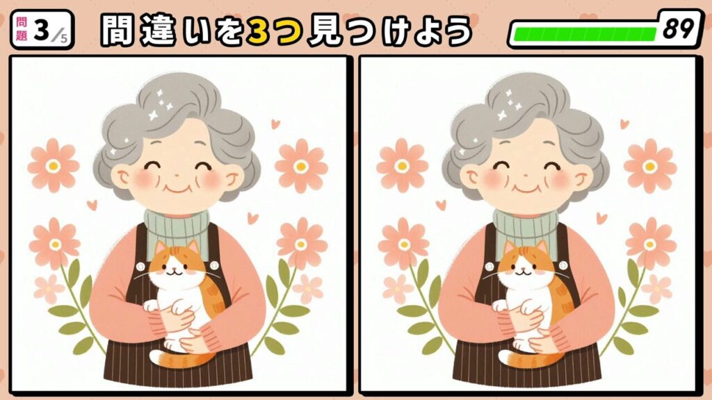 #43　問題3　間違い探し　猫を抱っこしているおばあちゃん