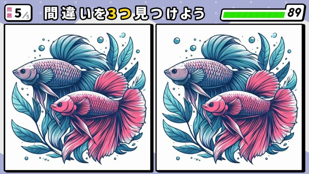 #54 問題5 間違い探し 赤と青色の闘魚(ベラ)