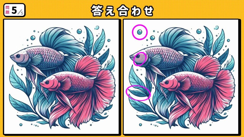 #54 問題5 答え合わせ