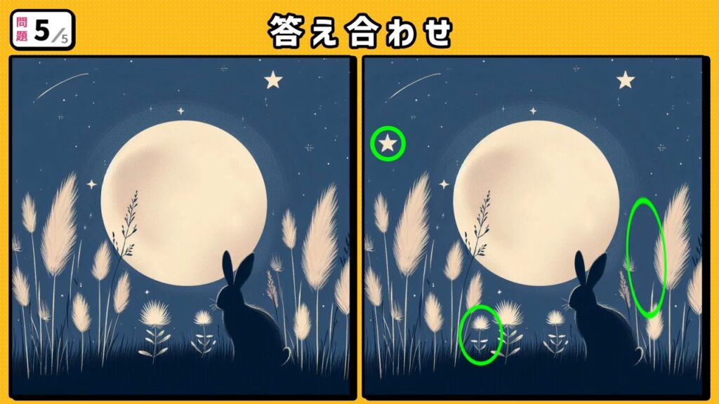 #205　問題5　答え合わせ