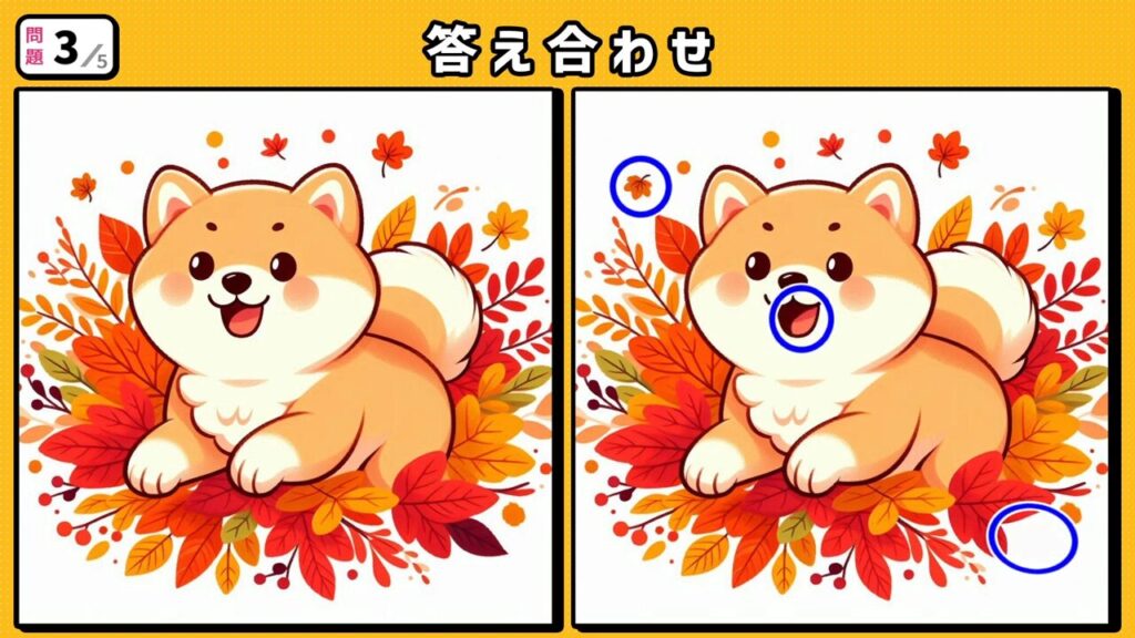 #214 問題3 答え合わせ