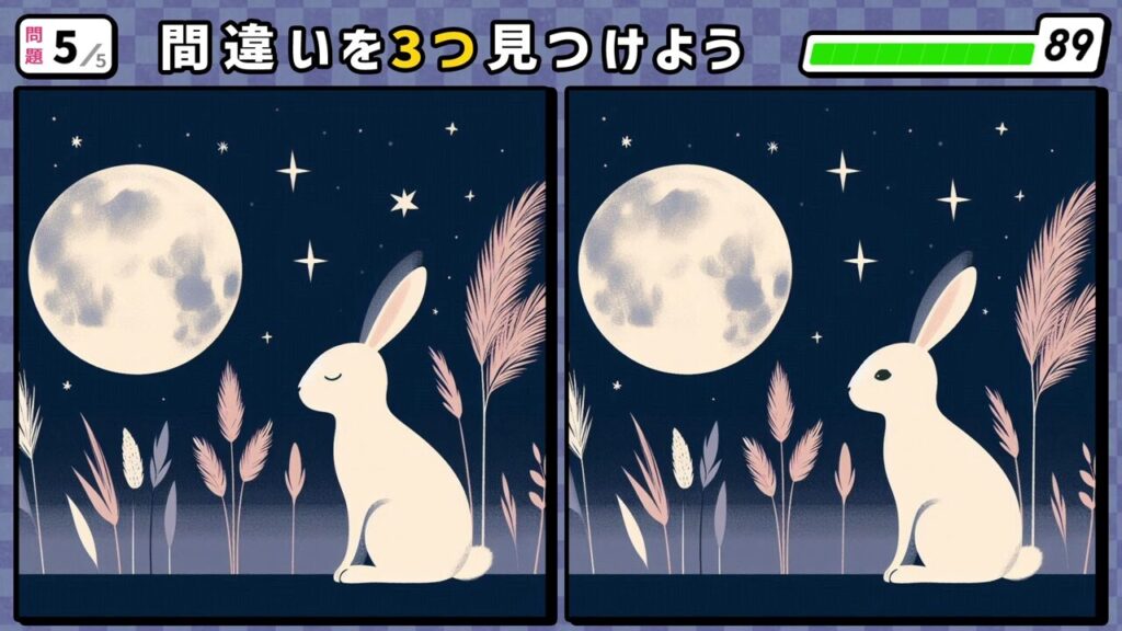 #214 問題5 間違い探し お月見しているウサギ
