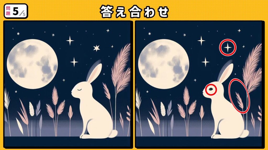 #214 問題5 答え合わせ