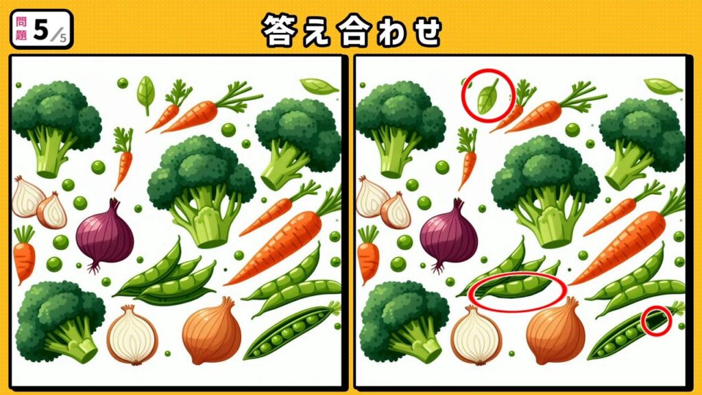 #215 問題5 答え合わせ