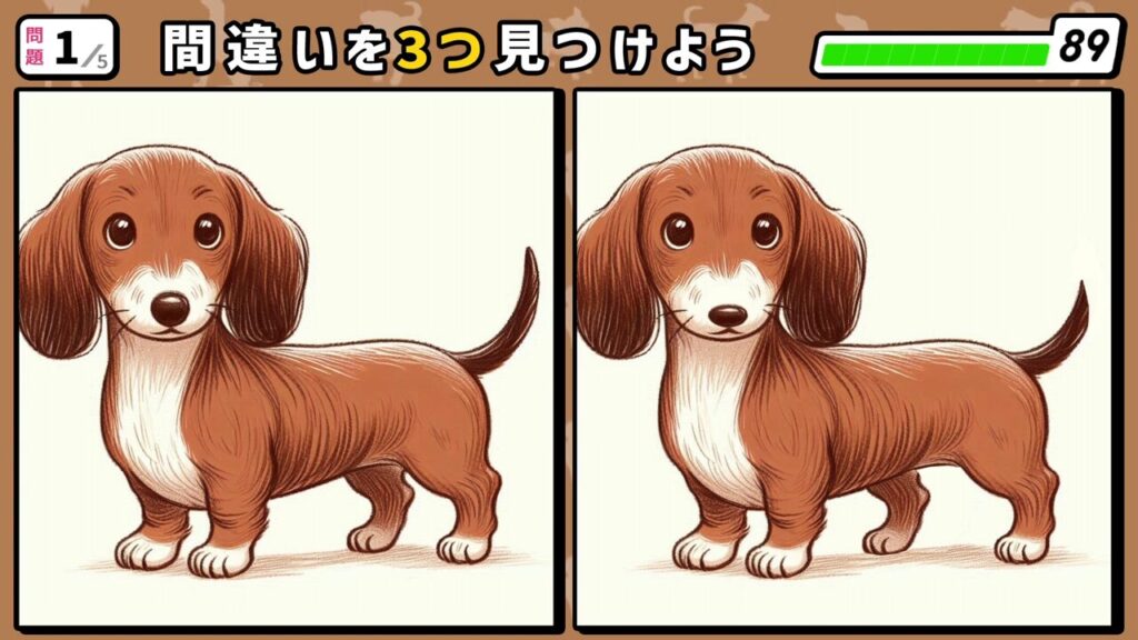 #221 問題1 間違い探し 犬(ダックスフンド)