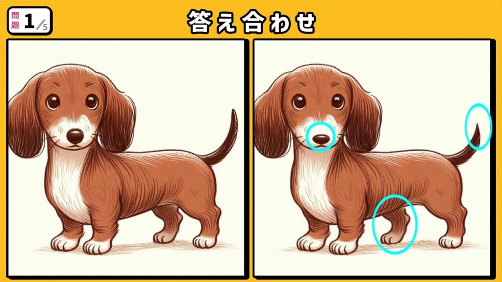 #221 問題1 答え合わせ