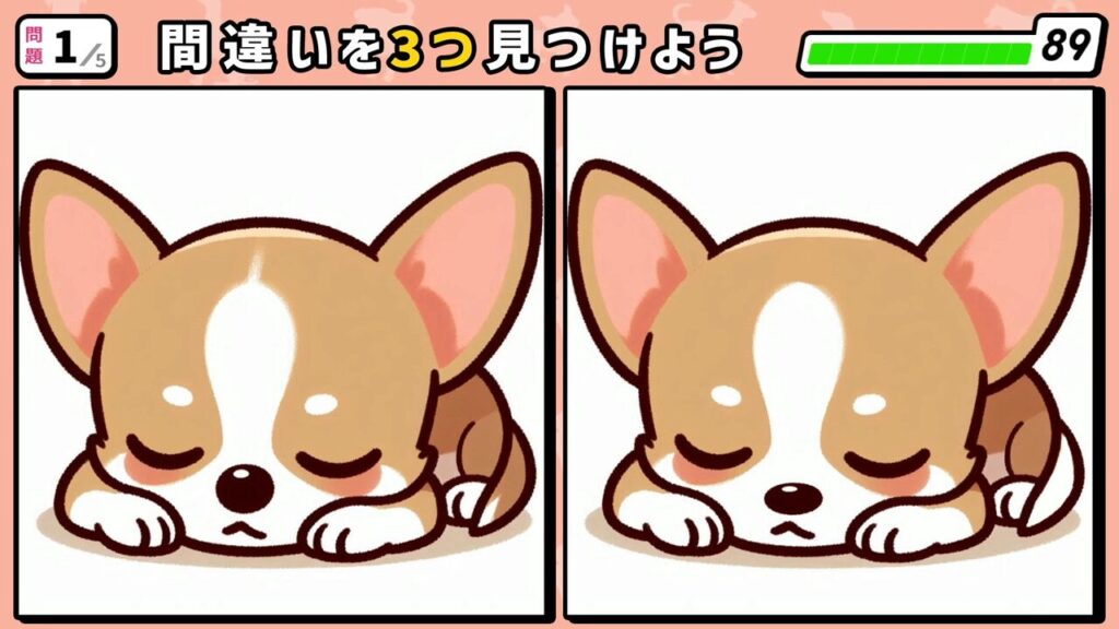 #235 問題1 間違い探し 正面向きで眠っているチワワ