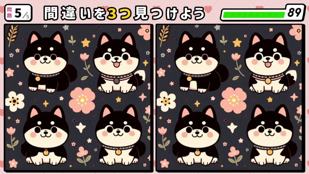 #240 問題5 間違い探し 4匹の黒色の柴犬