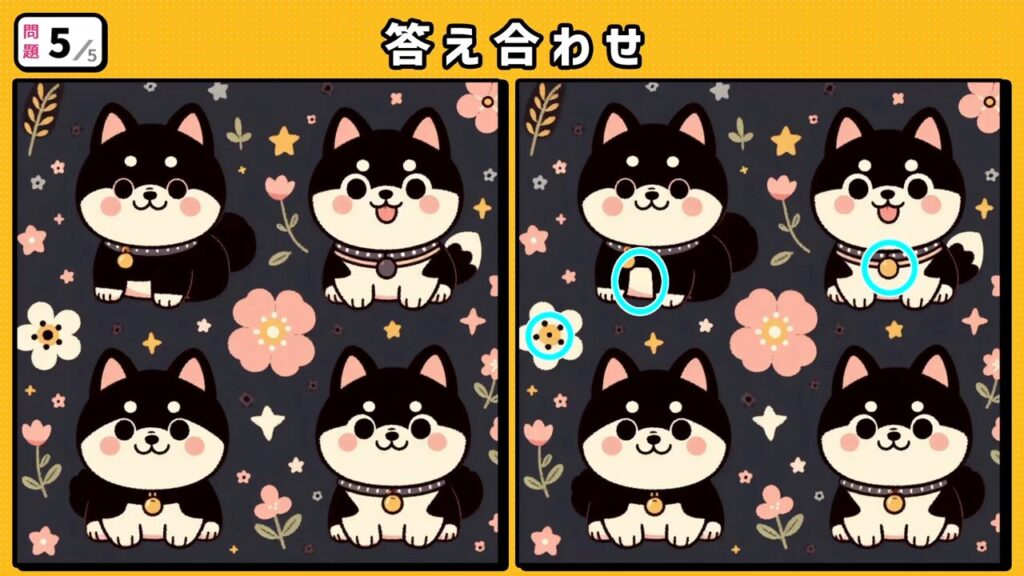 #240 問題5 答え合わせ