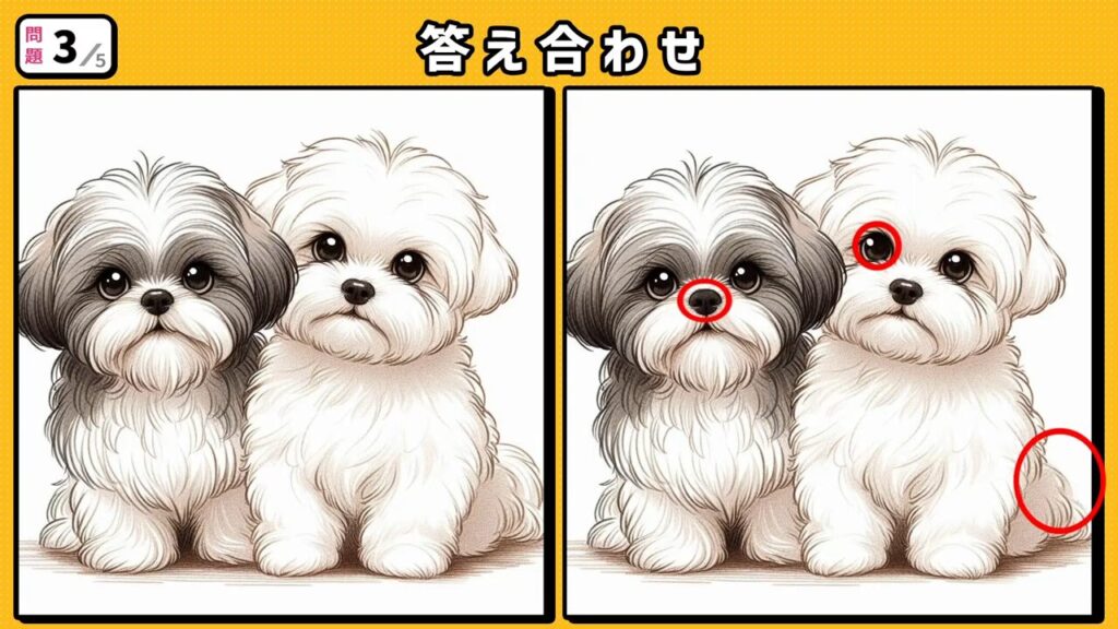 #244　問題3　答え合わせ