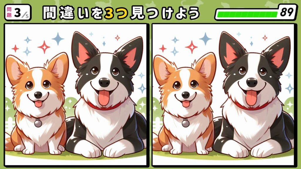 #252　問題2　間違い探し　並んで舌を出して座っているウェルシュ・コーギーとボーダーコリー