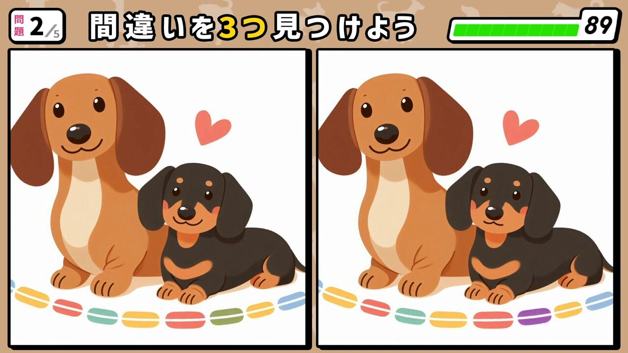 #253　問題2　間違い探し　大小2匹のダックスフントが並んで伏せのポーズをしている