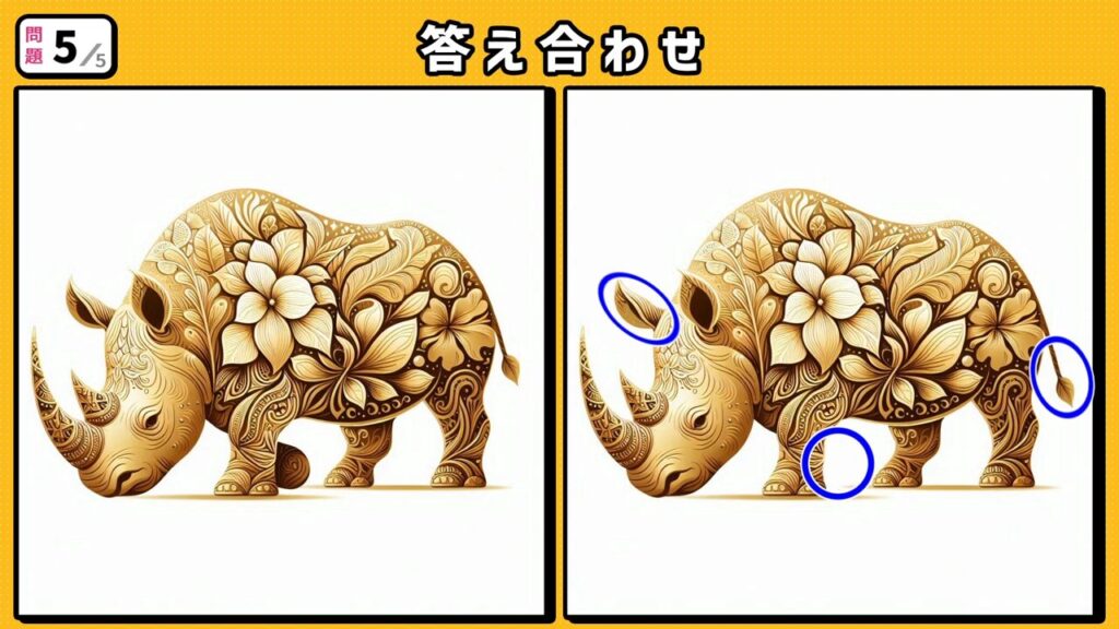 #262　問題5　答え合わせ