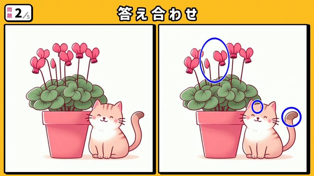 #275 問題2 答え合わせ